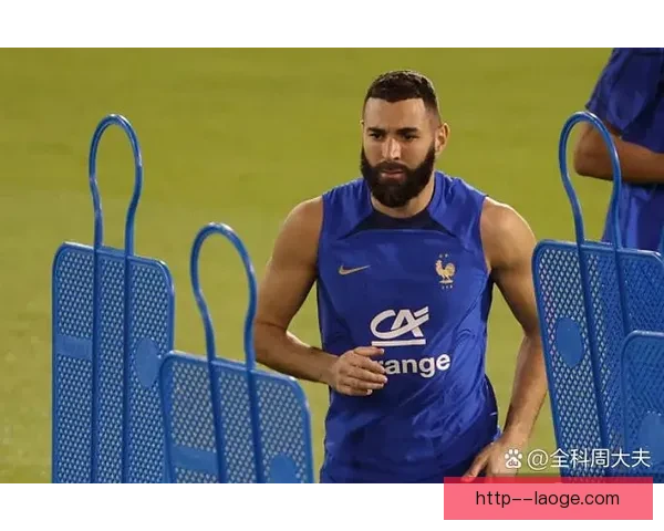本泽马回归法国国家队首秀表现惊艳引发广泛关注