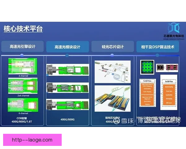 以赛后美洲杯数据分析透视胜负背后的核心关键决定因素