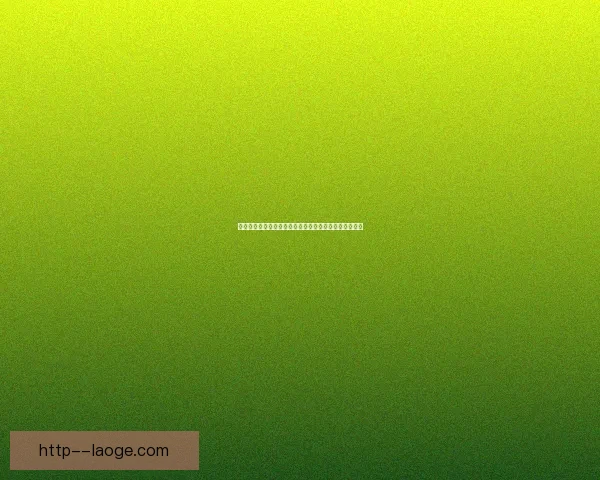 布罗佐维奇正式加盟利雅得胜利为球队注入新动力与经验 布罗佐维奇正式加盟利雅得胜利为球队注入新动力与经验